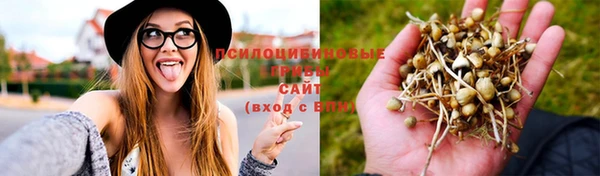 дмт Арсеньев