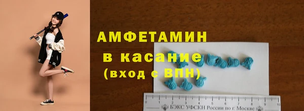 твердый Ладушкин
