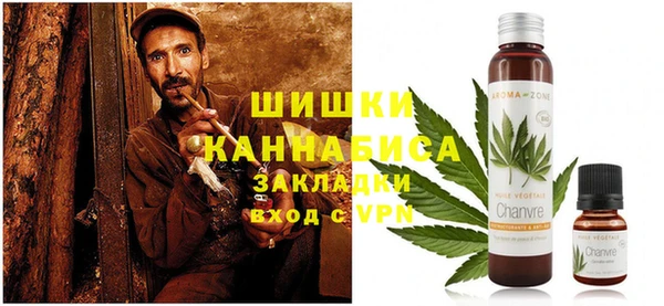 дмт Арсеньев