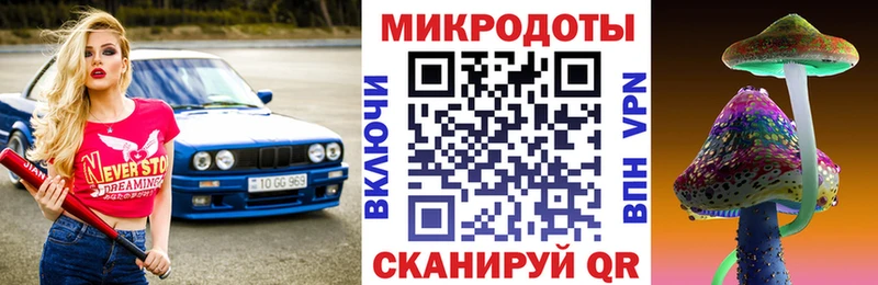 цены Сатка Псилоцибиновые грибы Psilocybe